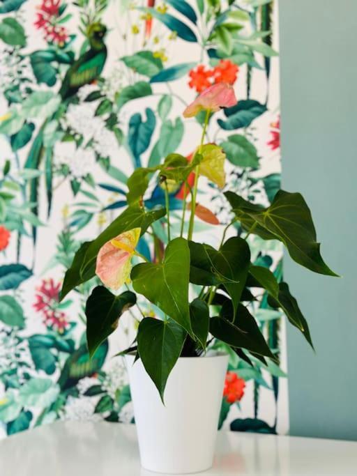 Le Jardin Secret - Jardin/Loire Apartment Tours Exterior foto